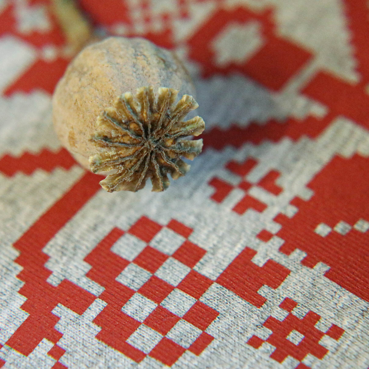 detske bavlnene tricko sivy melir s ludovym vzorom novohrad detske bavlnene tricko sivy melir s ludovym vzorom novohrad