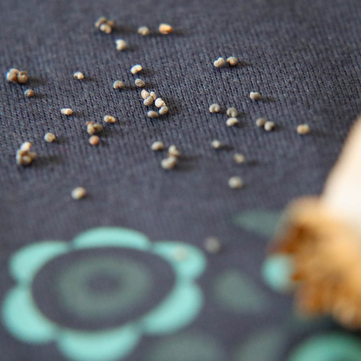 panske tielko modre s folklornym vzorom panske tielko modre s folklornym vzorom